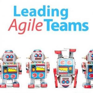 Leading Agile Teams