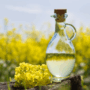 Canola