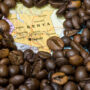 Kenya AA – Central Region – AA FAQ+