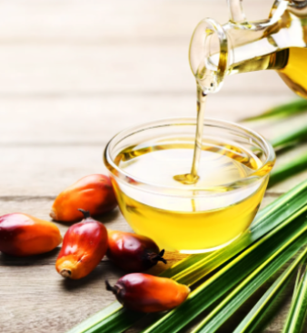 palm oil 1